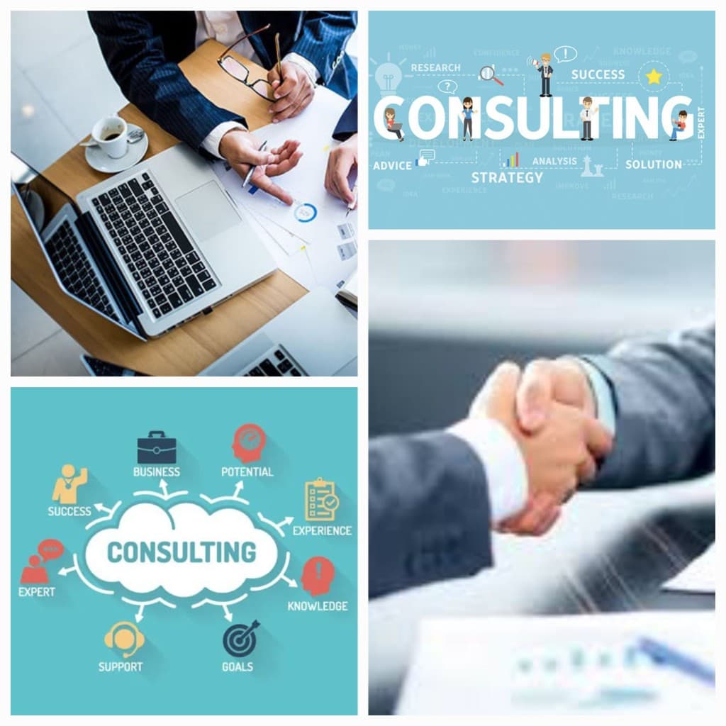 Conseil et consulting : accompagnement professionnel, stratégie, analyse et partenariats